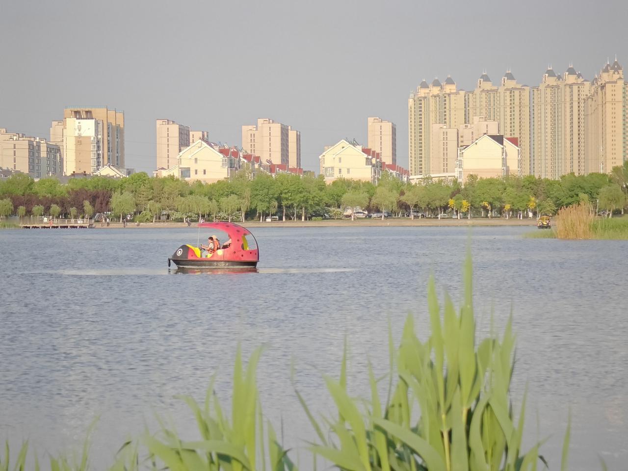 美丽的东营清风湖一角，你去过吗?