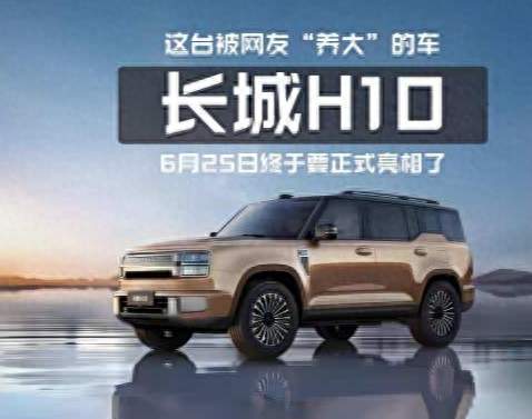 曾经月销破万，被油耗拖后腿，混动大狗来了，能重回巅峰吗