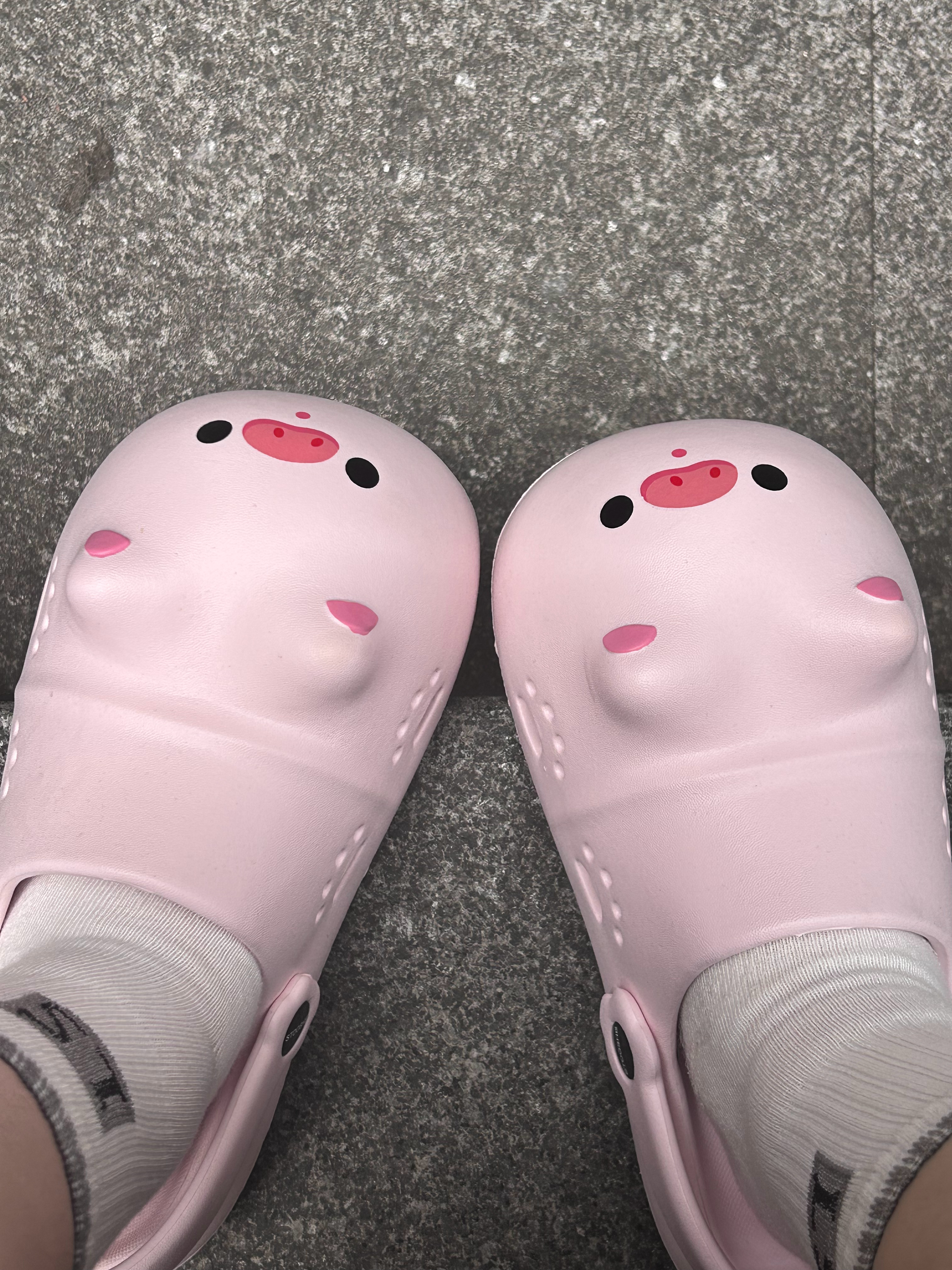 🐽 