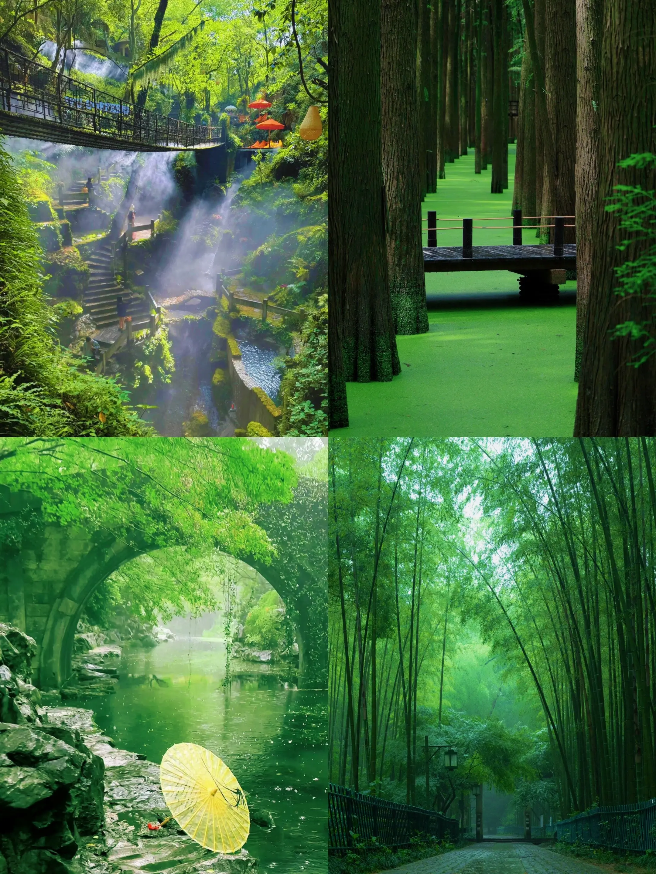 我在杭州找到了现实版的绿野仙踪