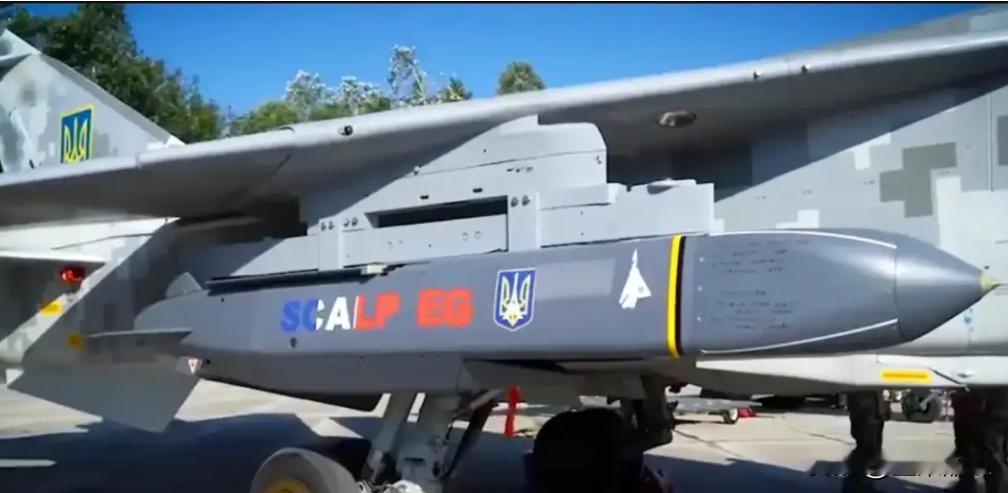 法国反对派英明。法国爱国者党领导人弗洛里安·菲利波称，议会中部分激进的议员目前对