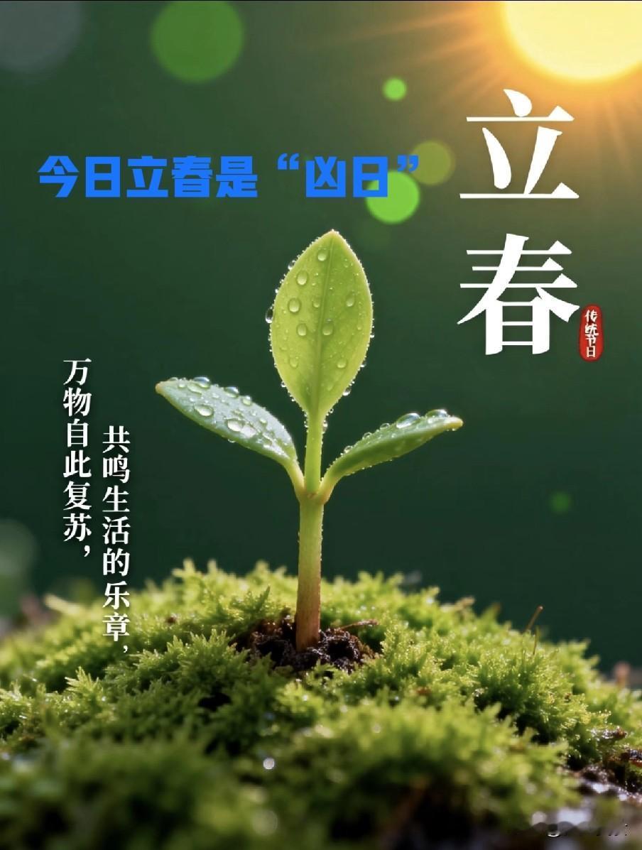 今日立春是“凶日”，记得：5事不做，4物不吃，为啥不能吃饺子？
2026年2月4