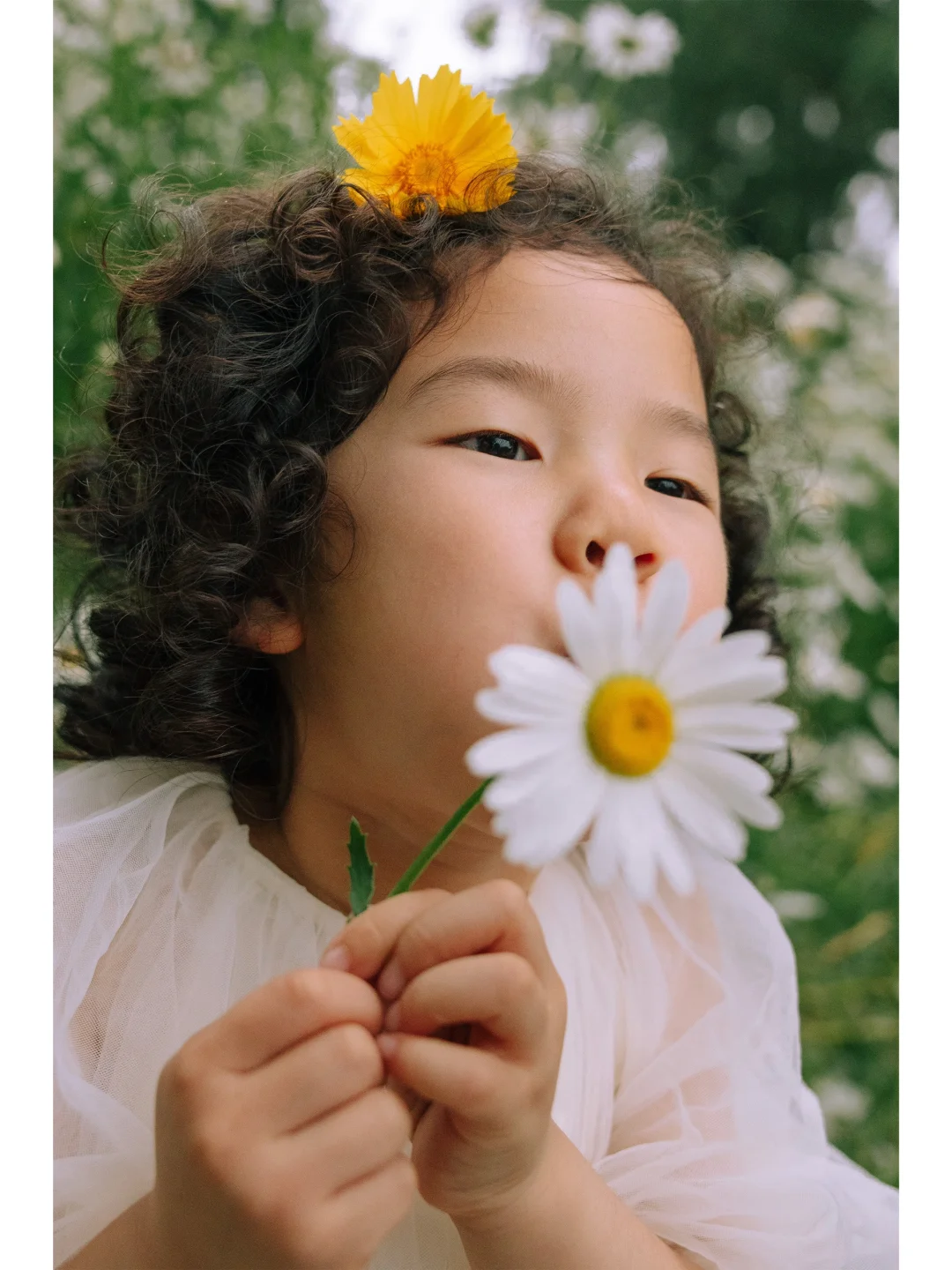 郑州小雏菊花海🌼郑州儿童外景写真