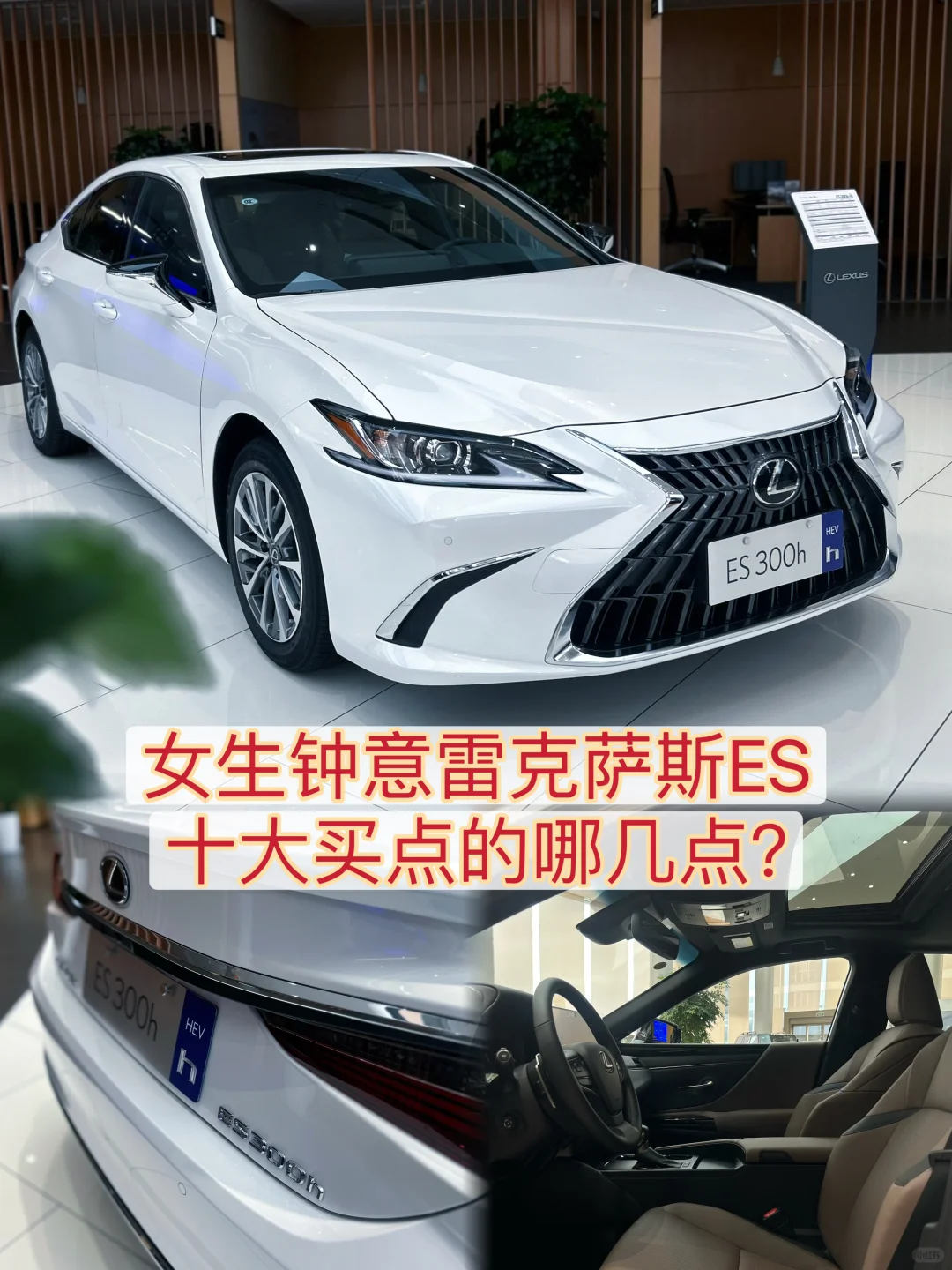 ES买点哪几个会让女士心动？