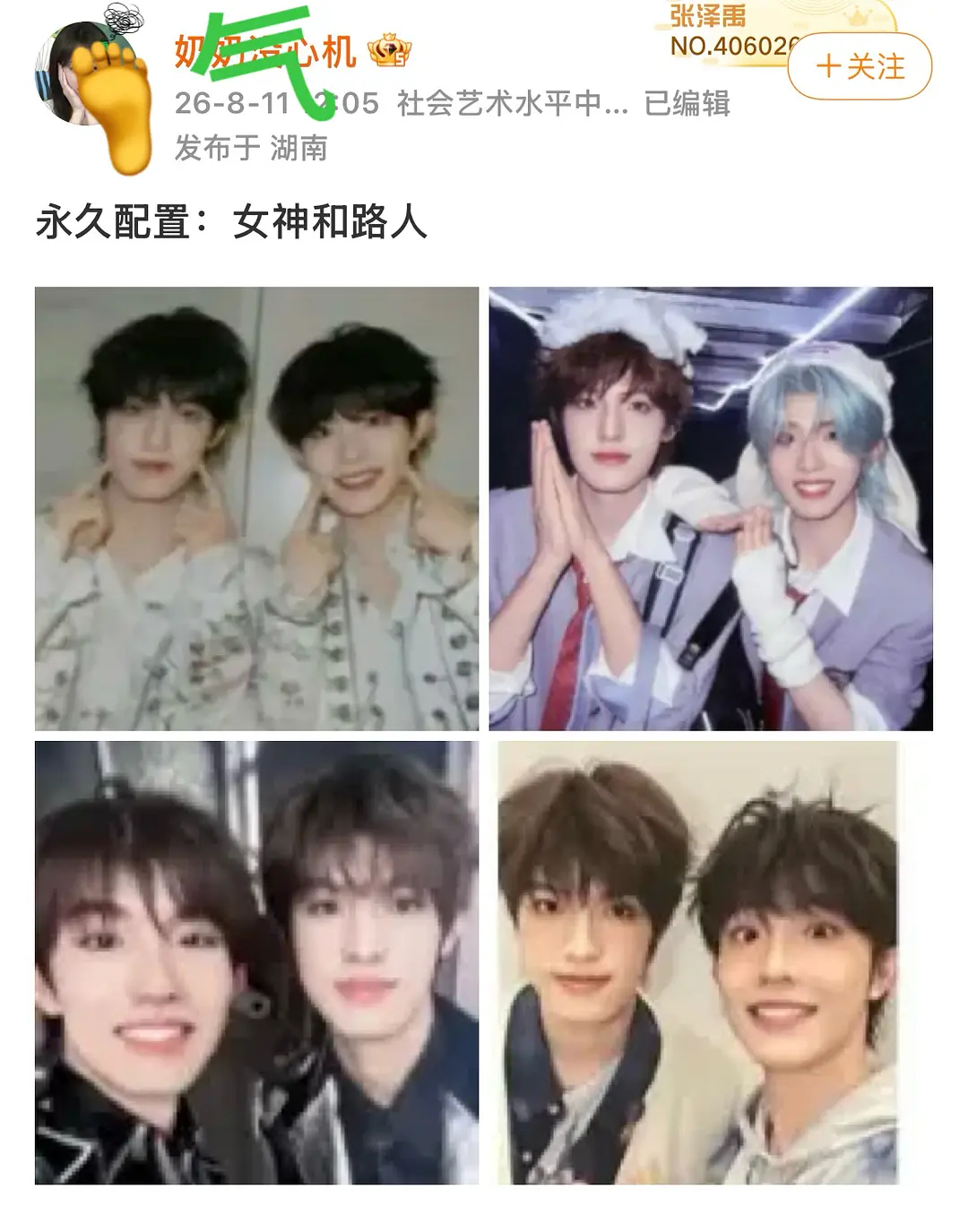 谁懂她啥意思没看懂苏新皓
