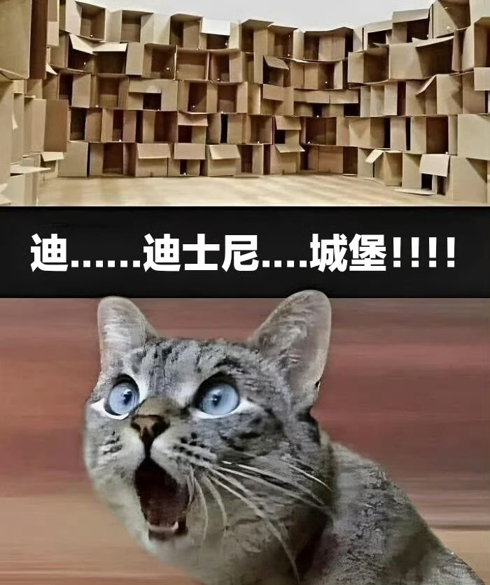 小猫过年了 一些猫meme  / 