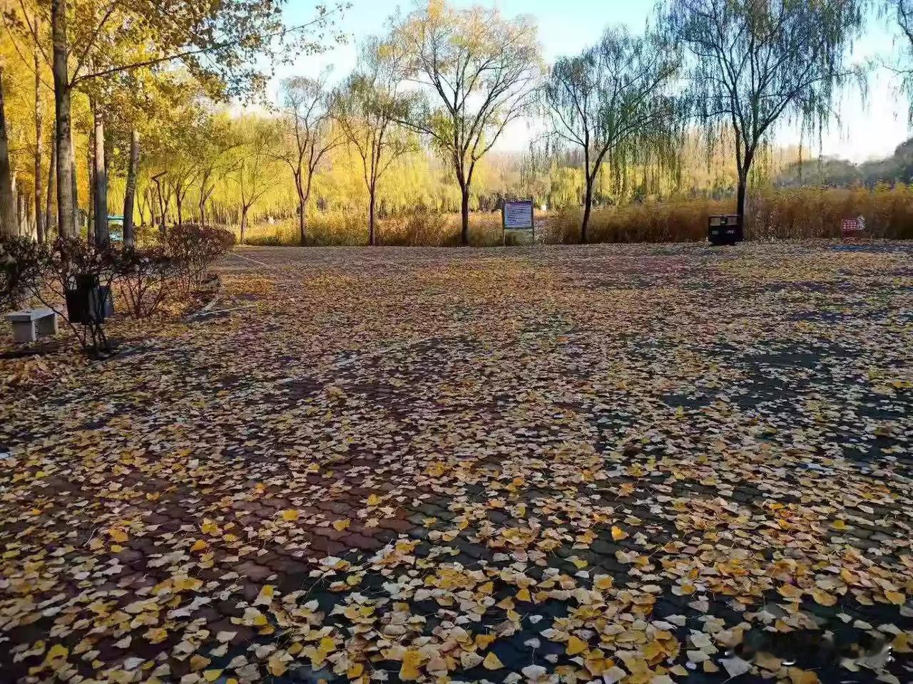 人生如行路，一路艰辛，一路风景。人格是一种力量，魅力是一个磁场。自信是成功的阶梯