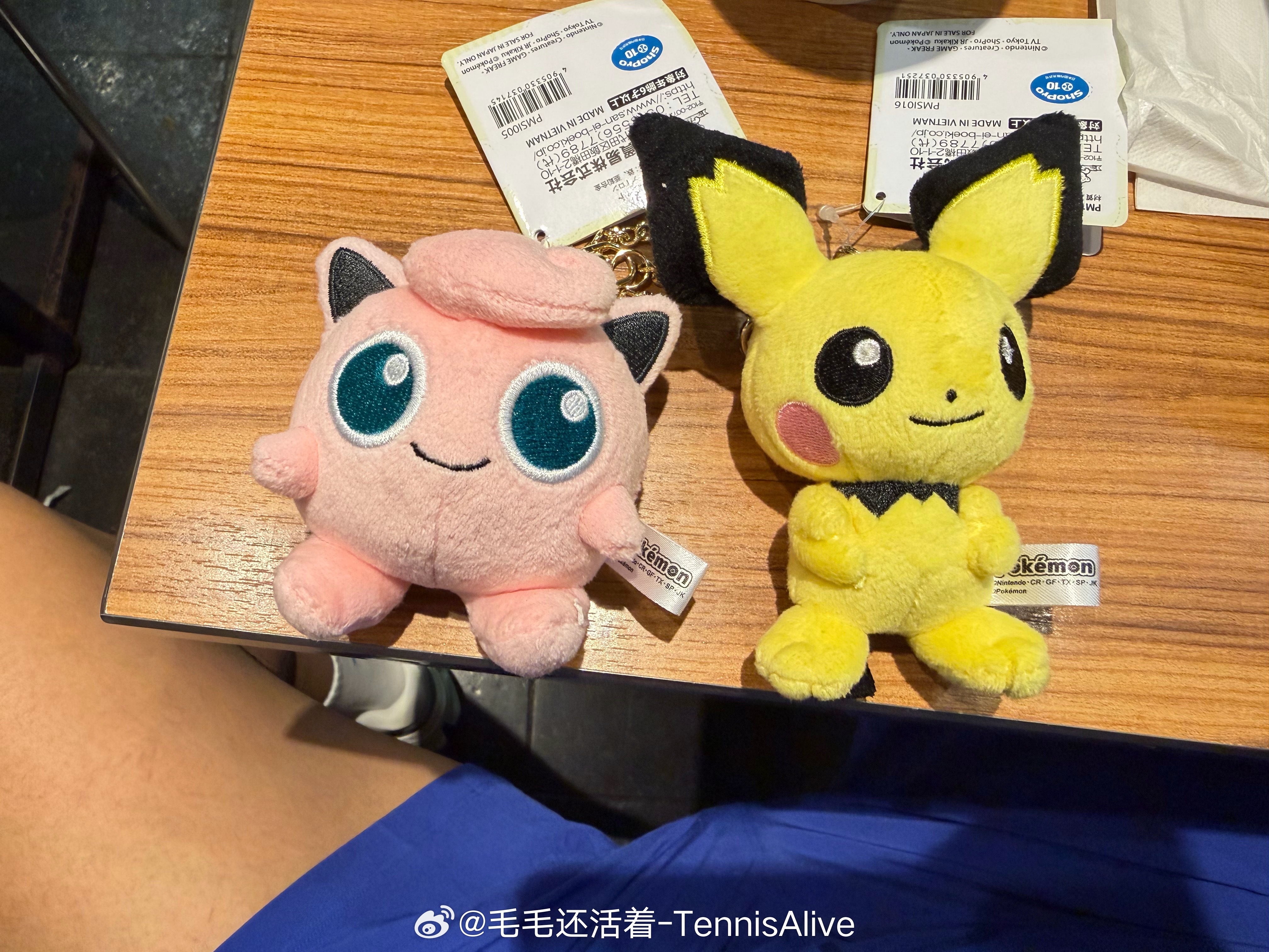 逛宝可梦店看到的小可爱包挂，你们喜欢么？回头抽给你们！