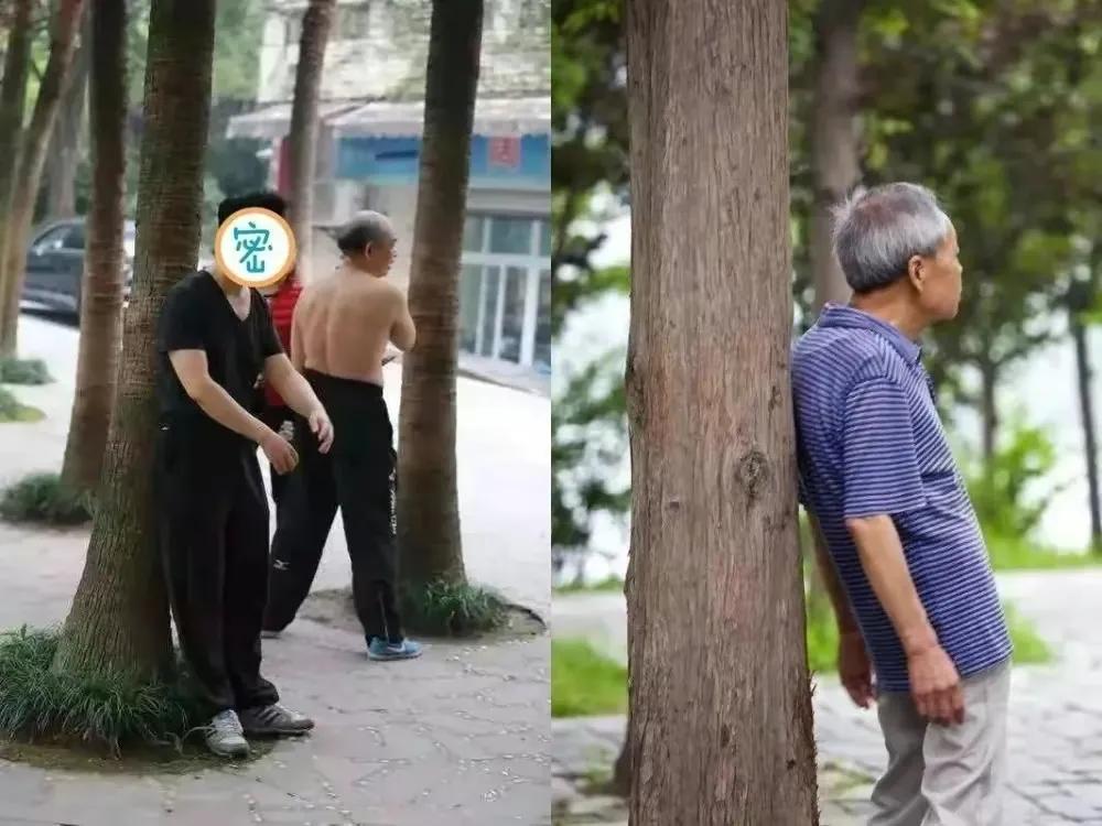 “撞树”可以健身吗？刘奶奶撞树撞断了胸椎，老人的锻炼要注意啊

我是健康管理师芝