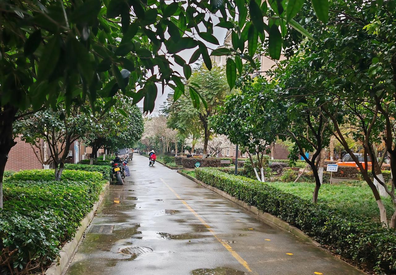 分享一张最近随手拍的照片春雨贵如油，一场细雨唤醒了冬眠的绿植，空气里透着清香！