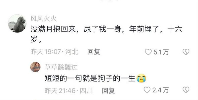 短短的一句就是狗狗的一生 ​​​[泪] ​​​