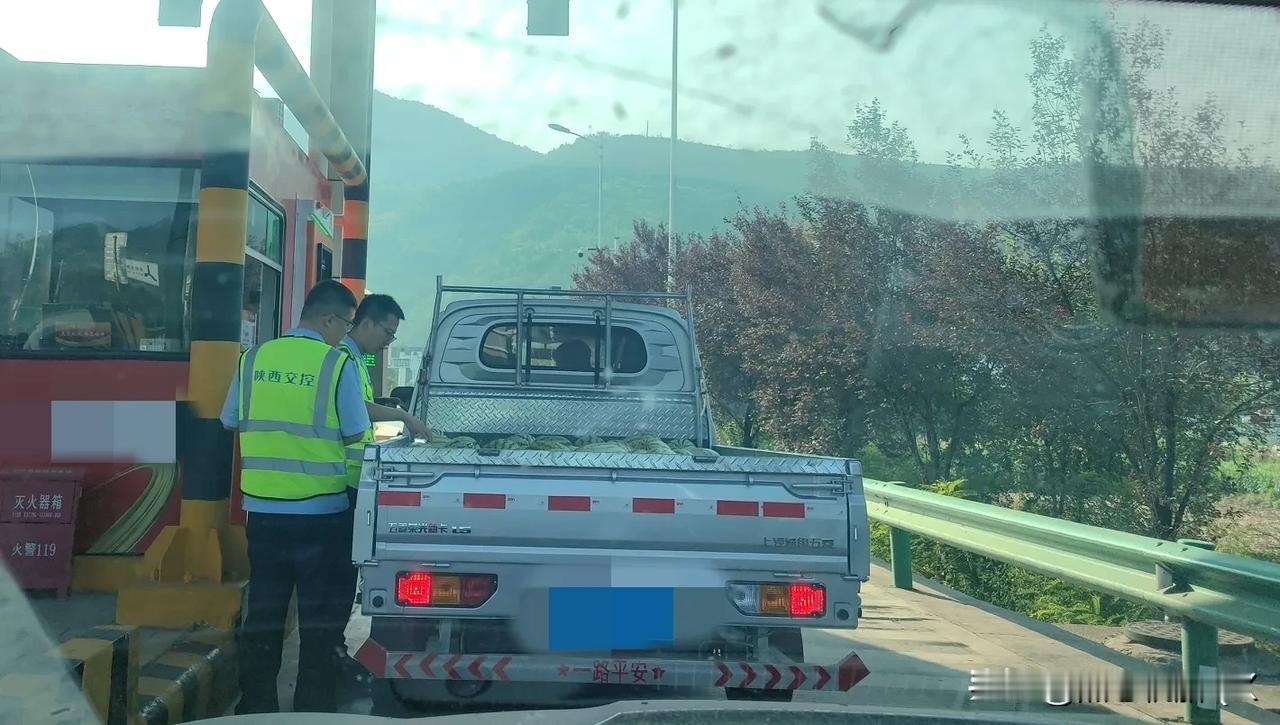 这车西瓜可以，物超所值！西瓜麒麟西瓜 喜提车 西瓜车 西瓜车 瓜车 搞笑西瓜车 