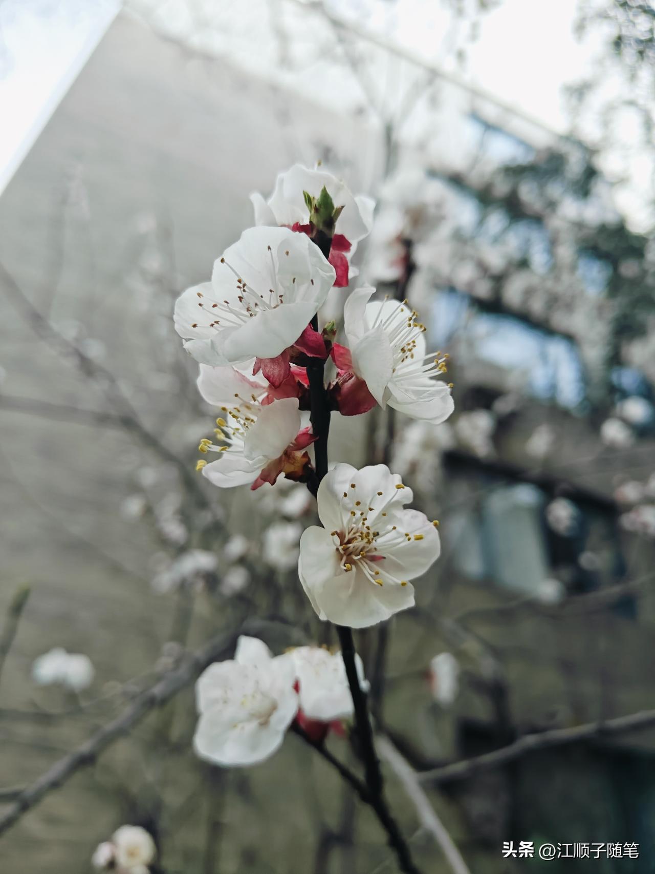 你有没有过这样的时候：
明明很累，却不敢说；
明明委屈，还要装作没事；
明明快撑