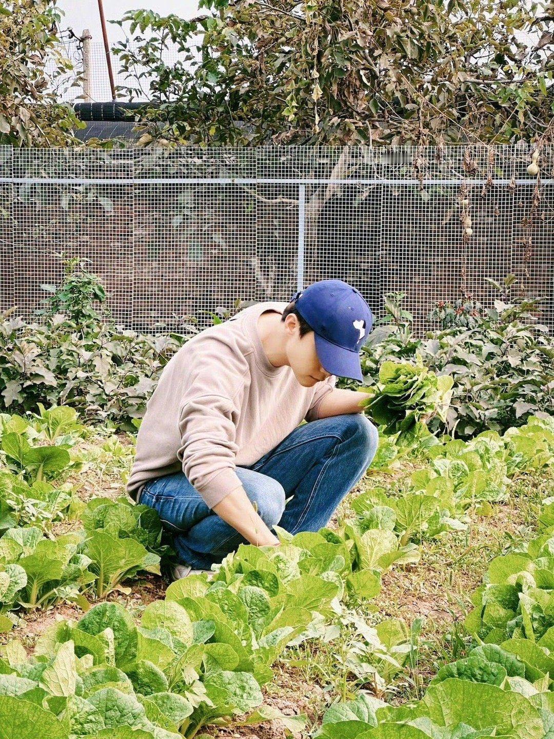 马天宇一次挖出了10个红薯 从舞台到田园，马天宇总能找到属于自己的节奏。挖出十个