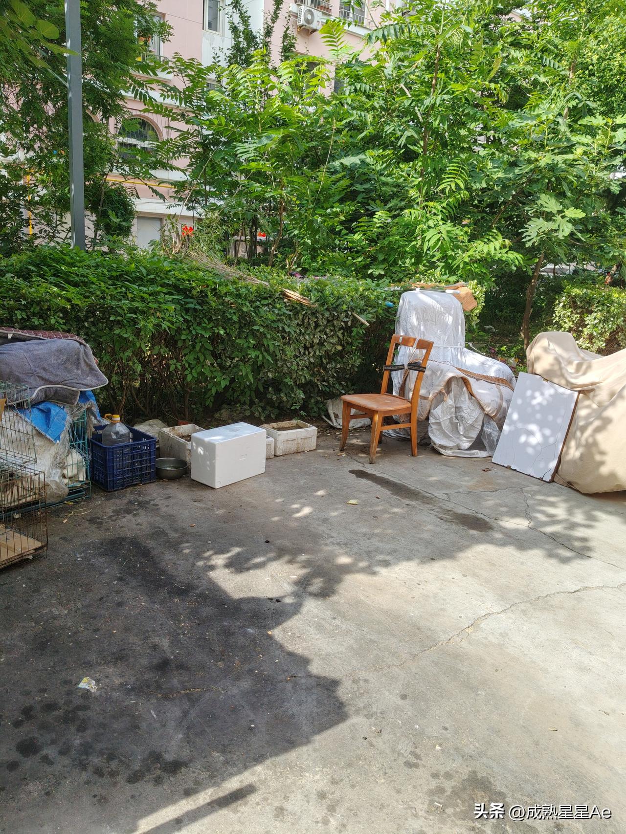 我现在居住的小区，是2000年入住的，当时是我们这个河北中等城市最好的小区，被称