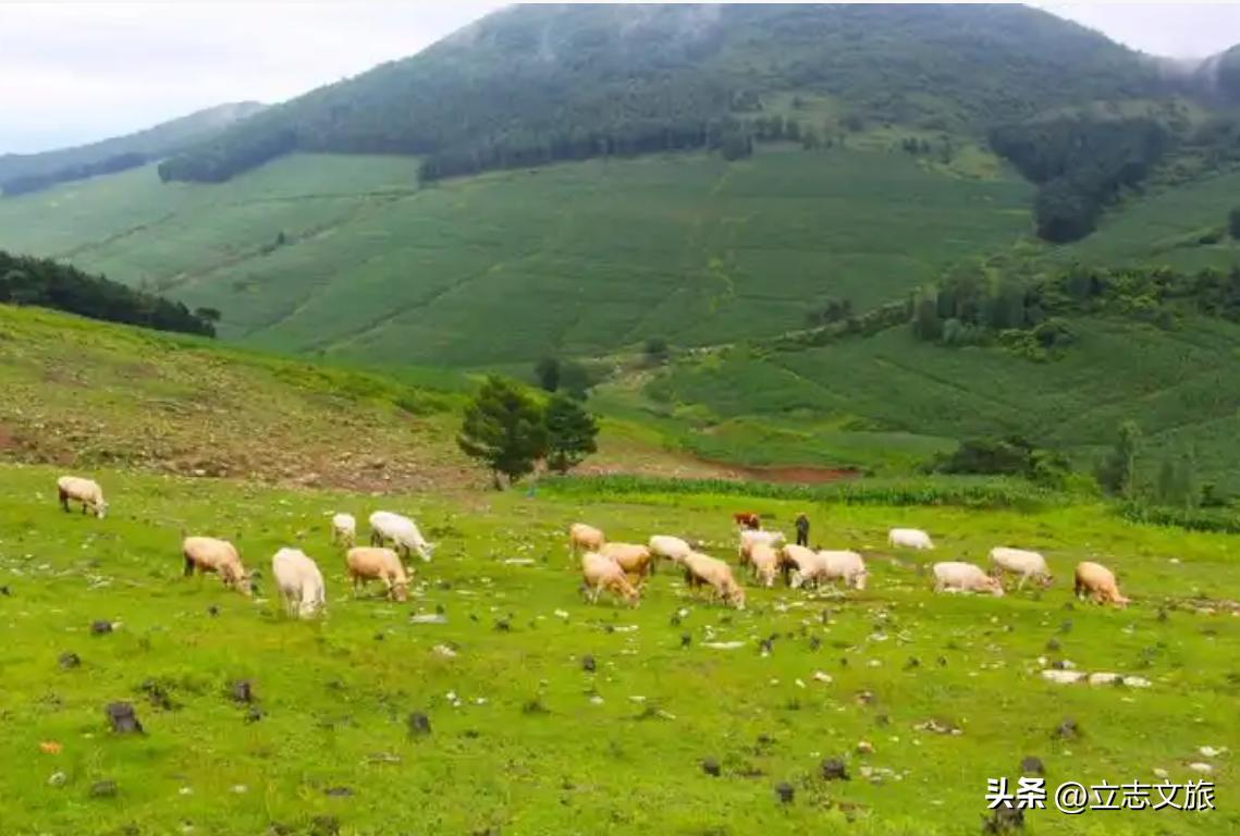本溪这个免费而且风景如画的景区一定要分享给大家！

我相信很多人都是第一次听说过