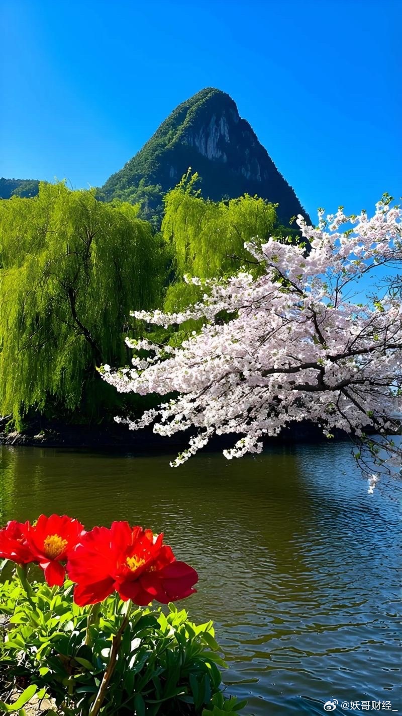 今天是惊蛰放下所有烦恼，烦恼一切归零！以春为序，向阳生长🌱帐户一路长红多陪陪家