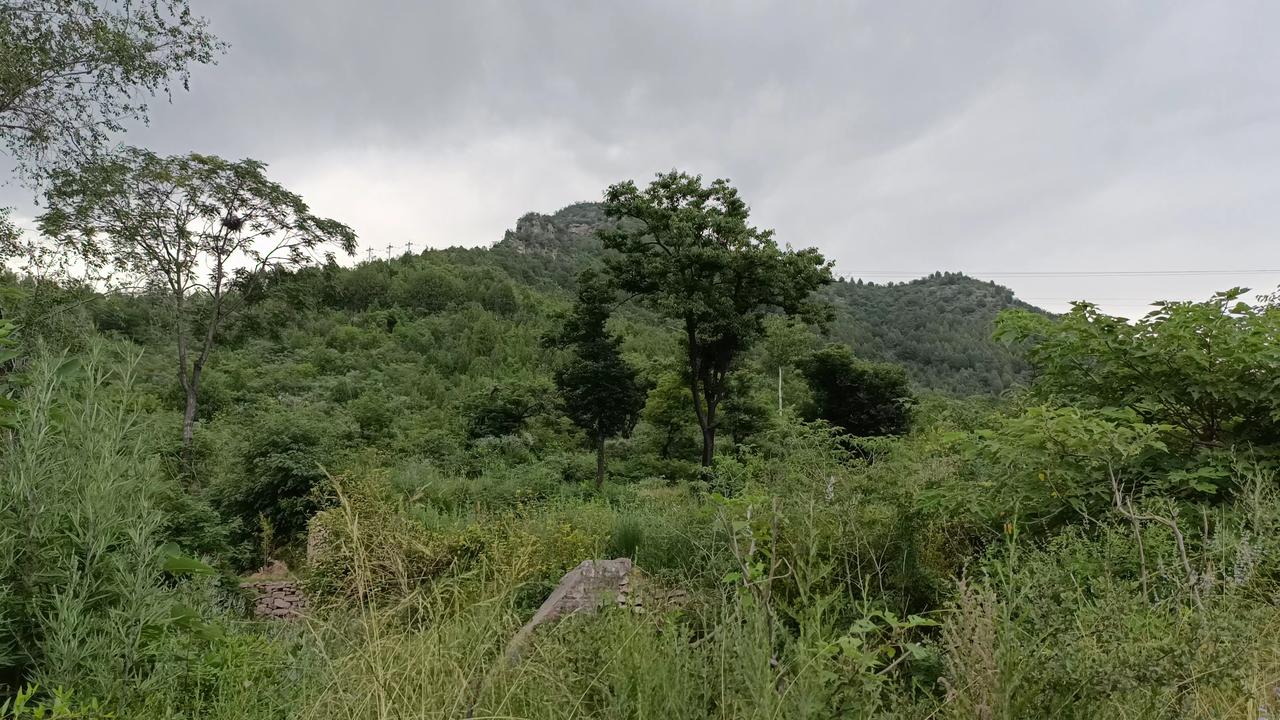 荒野草丛中惊现一座北宋古墓，距今近千年。墓主人竟因一杯酒被砍头示众，只能以金头下