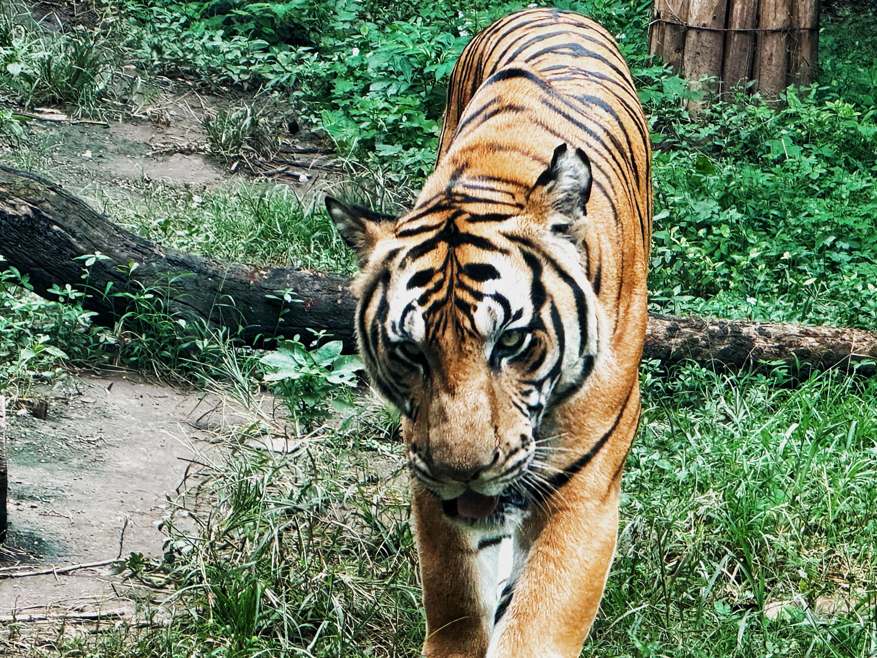 揣测别人只会让你被噩运监视