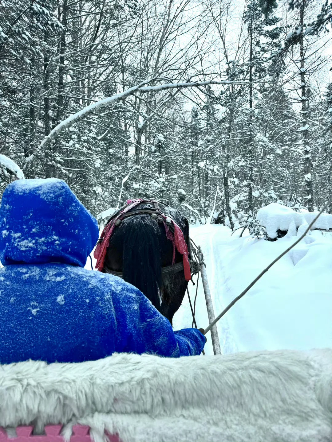 放弃哈尔滨❗长白山的童话雪景才震撼！！