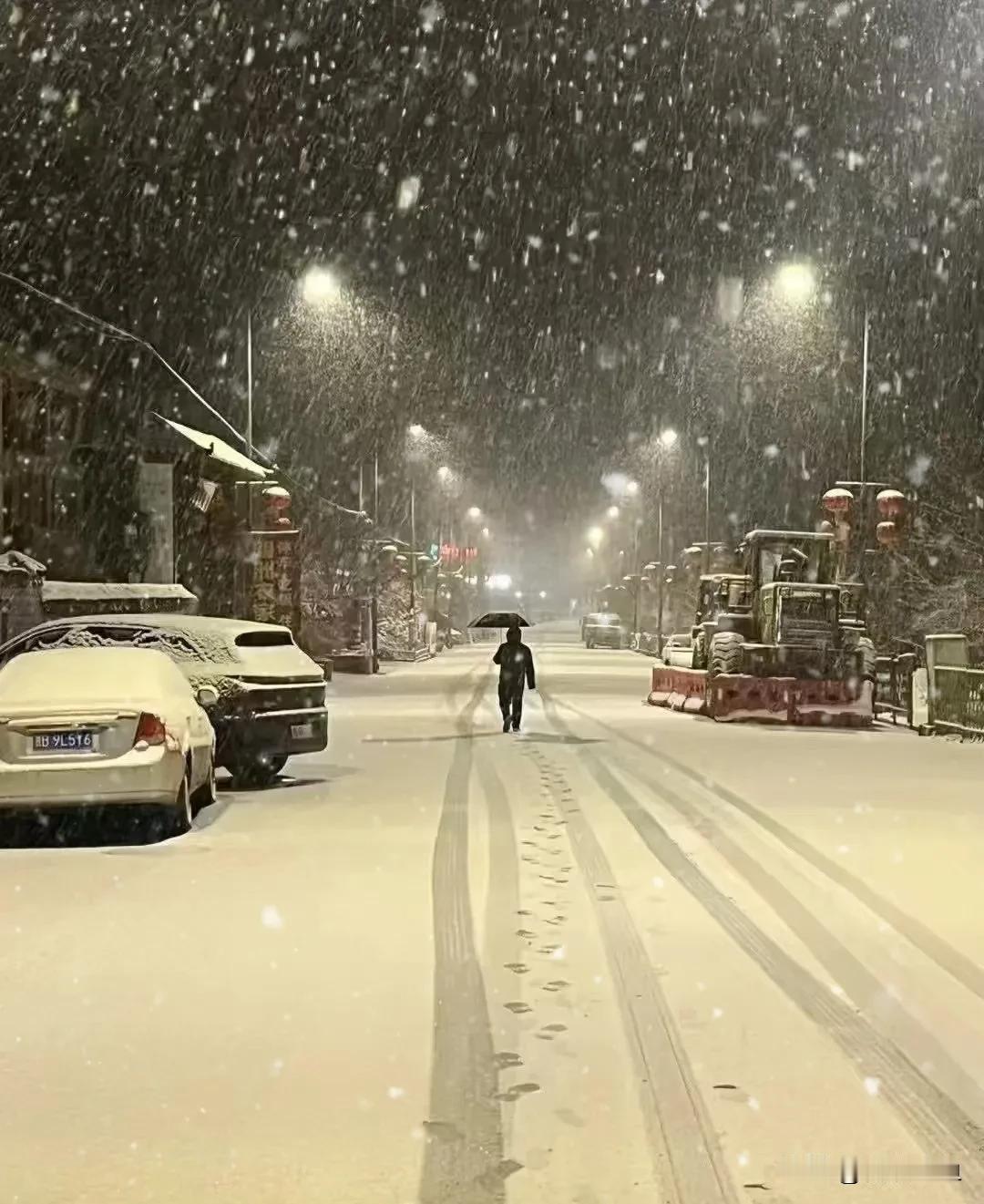 昨天四明山突降大雪，很多人连夜进山去看雪呢。

今天是艳阳照。