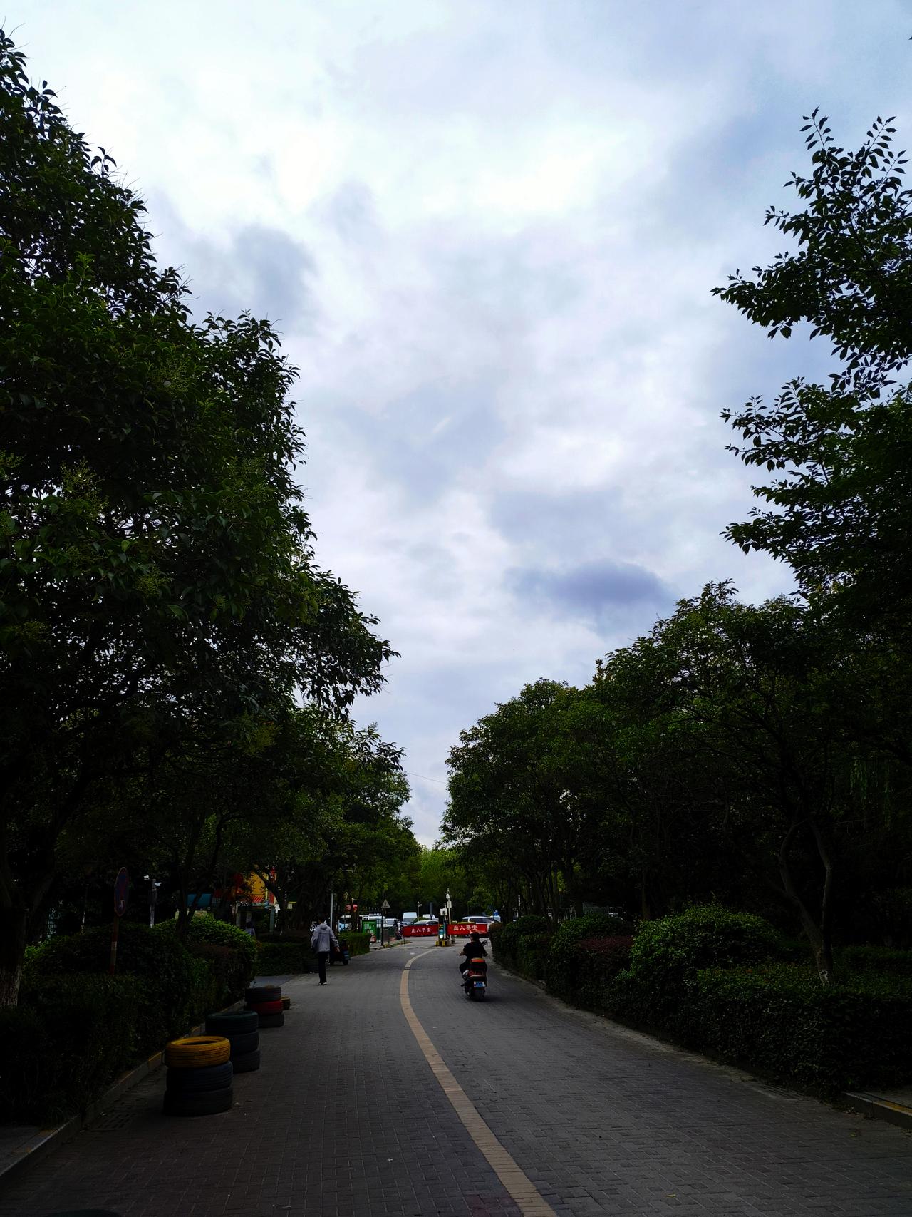 台风“巴威”真的来势汹汹，连南京都受到影响了。今天凌晨三点，它的中心在南京东南约
