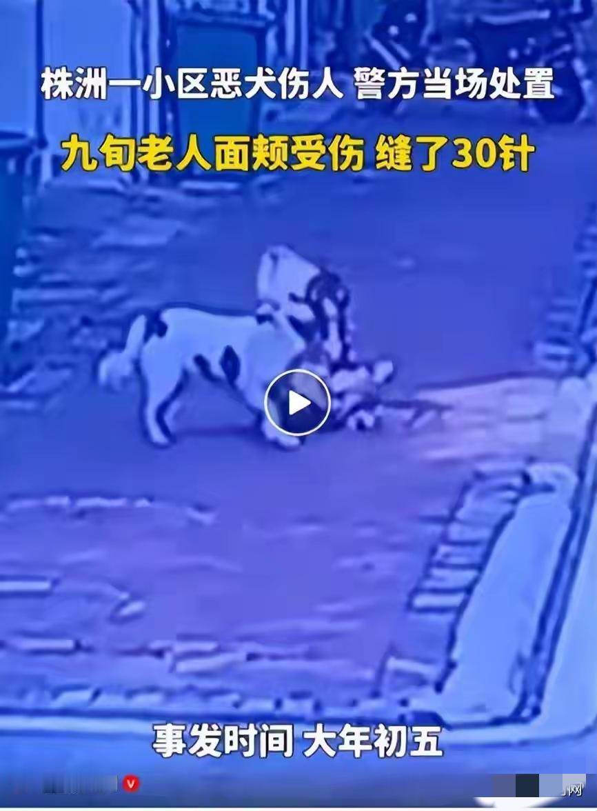 大年初五，湖南株洲市沿河三村92岁张奶奶被一条恶犬扑倒咬伤，面颊缝了30针。知情
