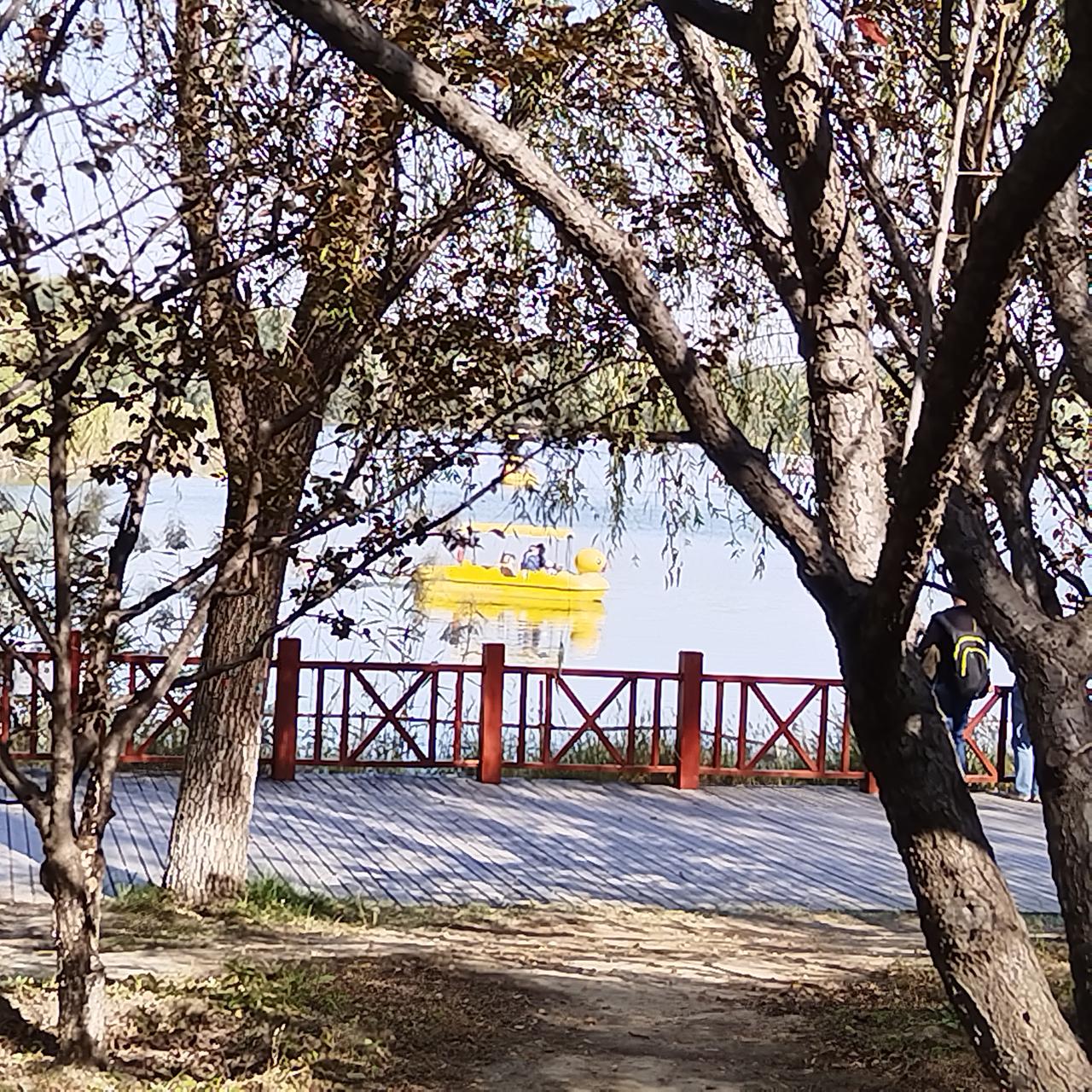午后的奥森