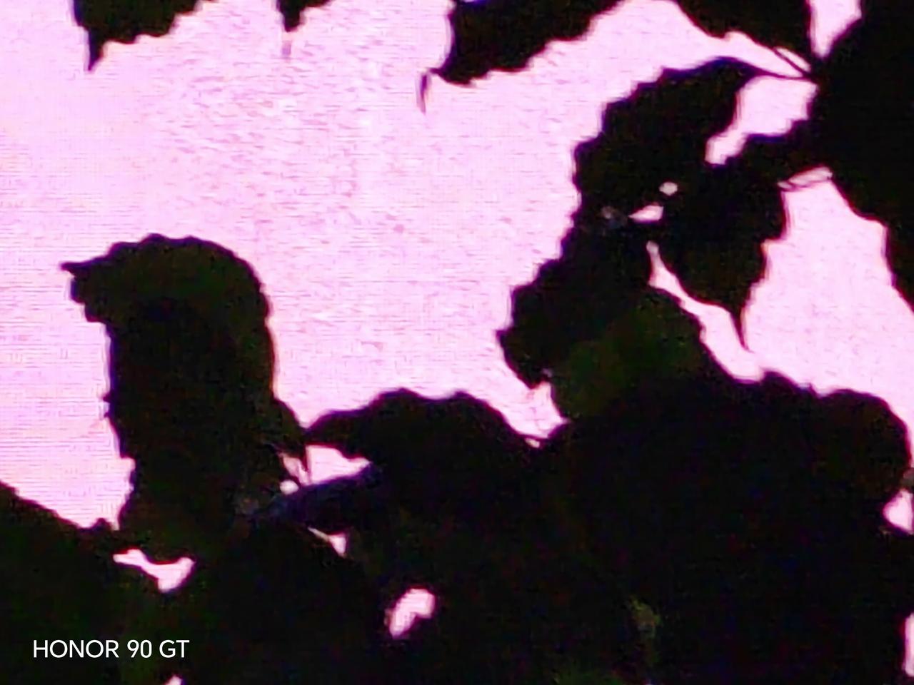 这是天空和绿叶的结合，
漂亮吧。