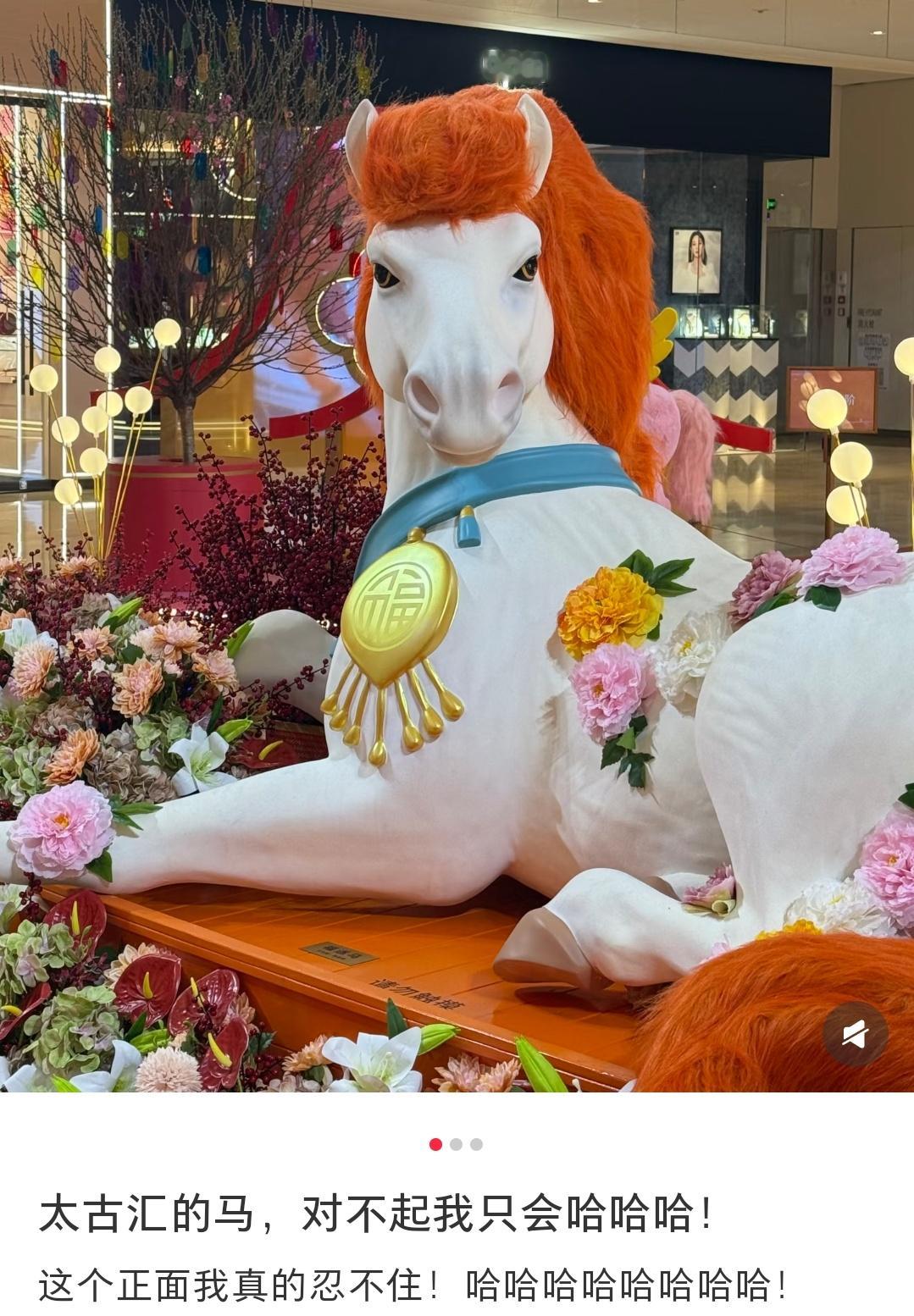 哈哈哈哈哈这个马