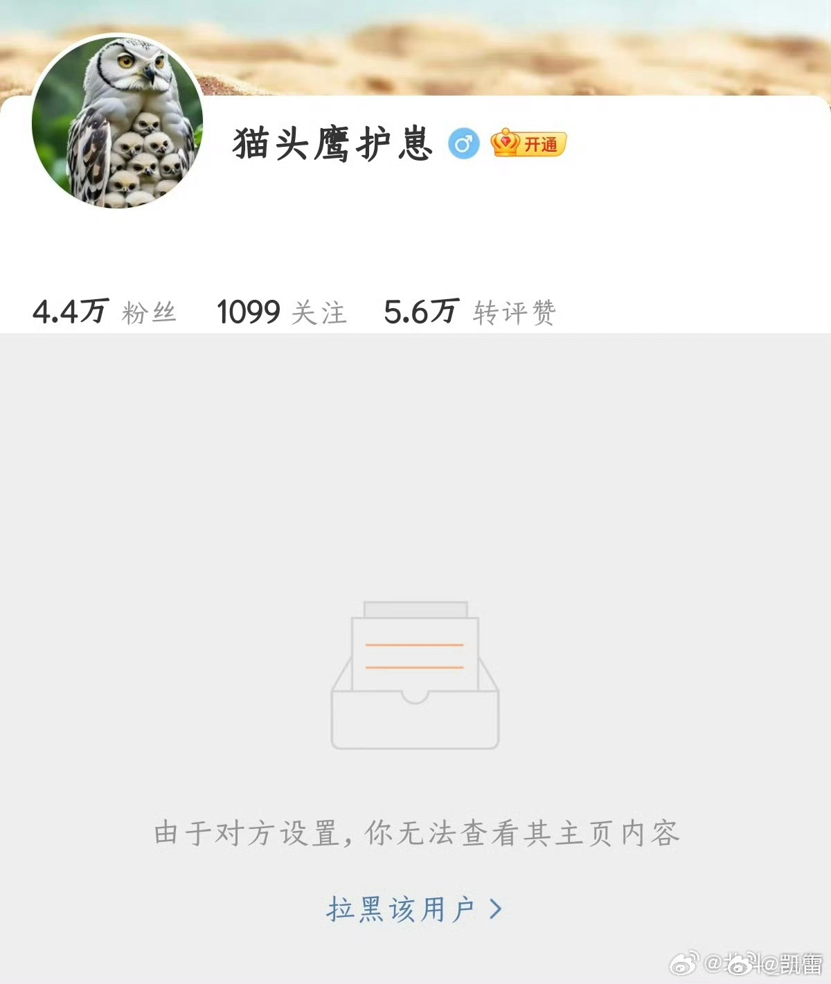 猫头鹰护崽 刘靖康最新：猫头鹰护崽拉黑了，可能是收到6.6万引发争吵连天，焦虑症