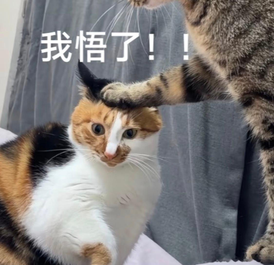 为什么会找小10岁的弟弟这个问题，其实我仔细进行了一下自我剖析。成年人的恋爱成本