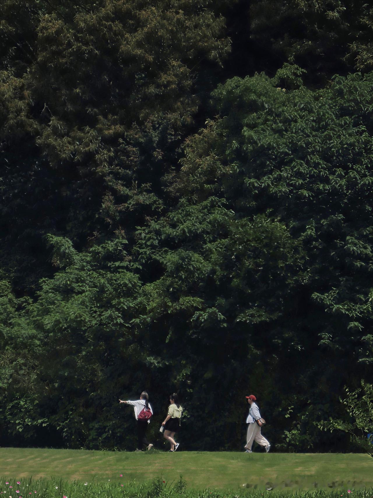 晒图笔记大赛踏青的意义，就是把生活的烦恼，都丢进这片青山绿野里。