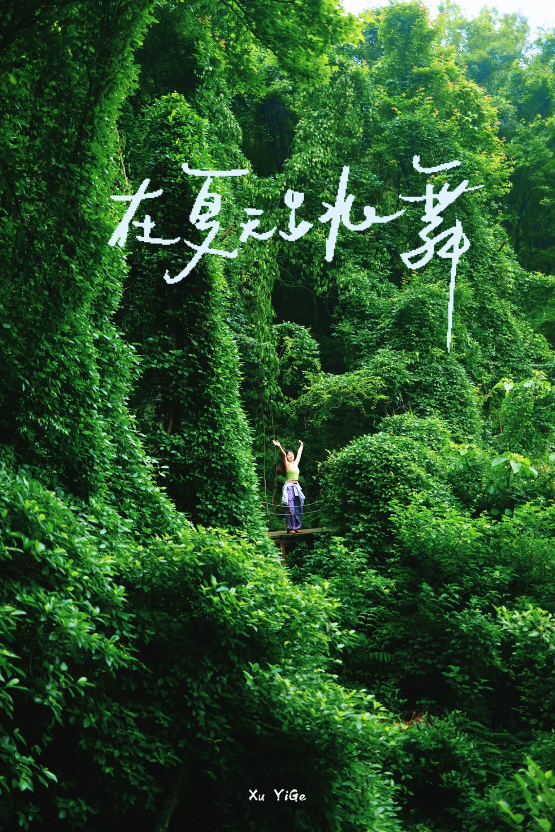小众风景｜海边的绿光森林，是大自然秘境！