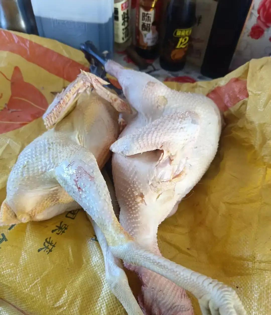 肖克明扔掉铁饭碗回海城，直接把老爷子气到血压飙升。
童童一句“爷爷是老古董”，更