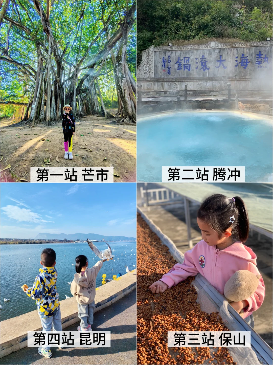 云南春节游｜亲子博主私藏的小众4站🦚☕️🐘♨️