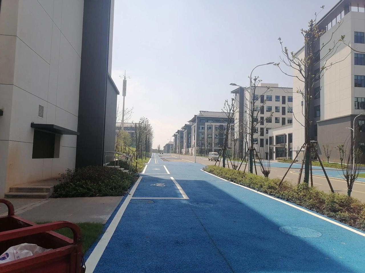 共青小城，近年喜纳南昌大学科技学院、南昌航大科技学院、江西师大科技学院、江西财大