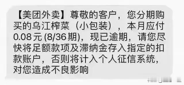 是我孤陋寡闻吗？买一包榨菜还分期付款36期，真的让我长见识！
这个绝对不在我的认