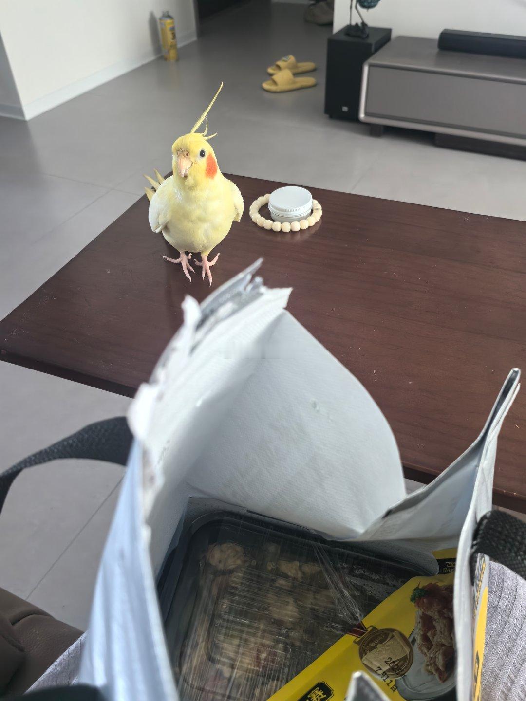 妈妈酱 是开饭了吗 ​​​