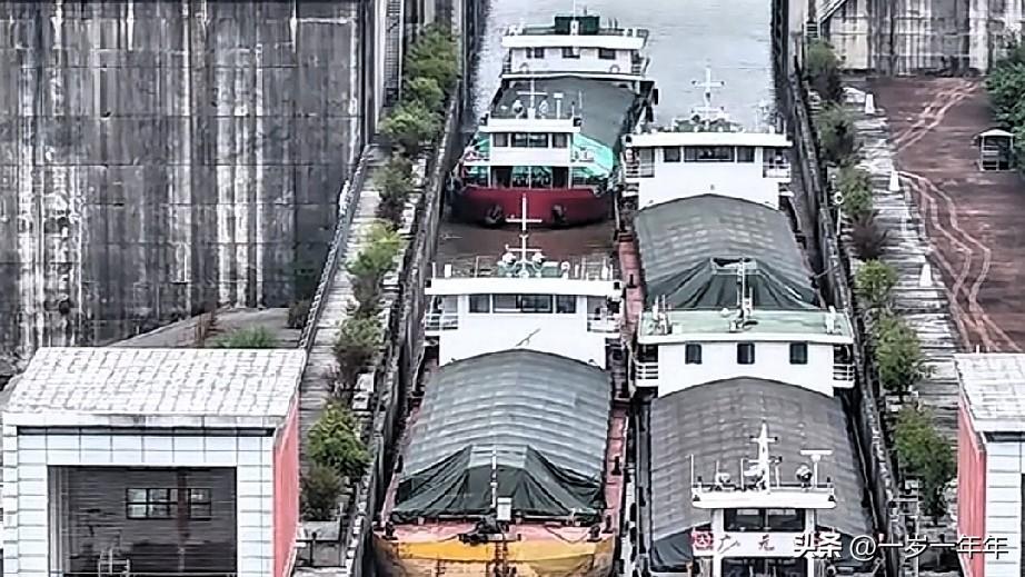 镜头直击嘉陵江！网友实拍草街航电枢纽，实景太过震撼
 
站在嘉陵江边，不少路过的
