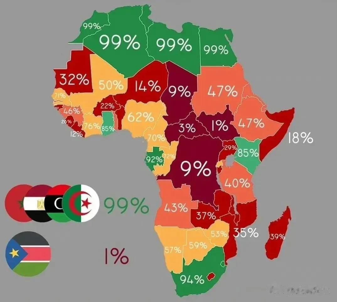 非洲各国的通电率示意图
其中北非五国和南非经济较为发达，通电比例
高达99%和9