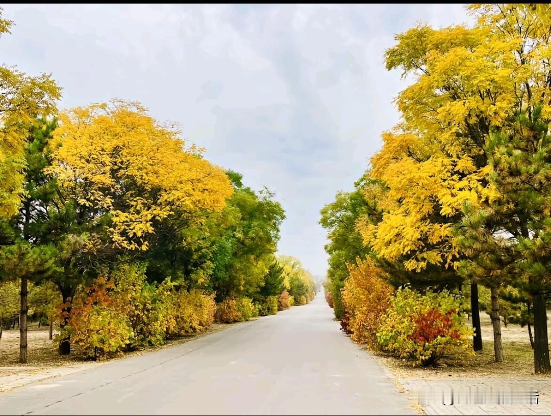 我想这个情况应该是全国统一吧！

都说恋家，那应该恋的是自己的家吧。正所谓金窝银