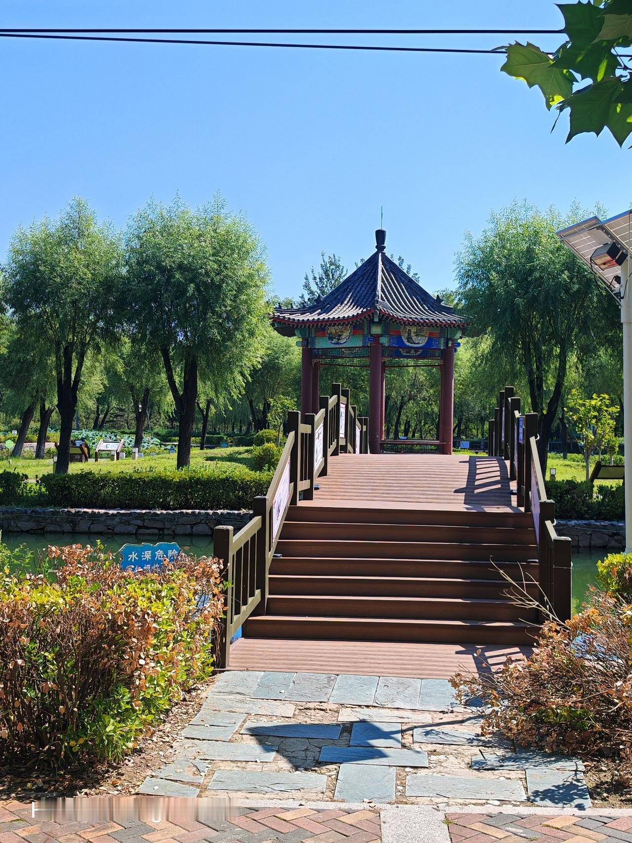 绿荫环绕，亭台楼阁。北京温榆河奶东公园随手一拍城市风景这边独好