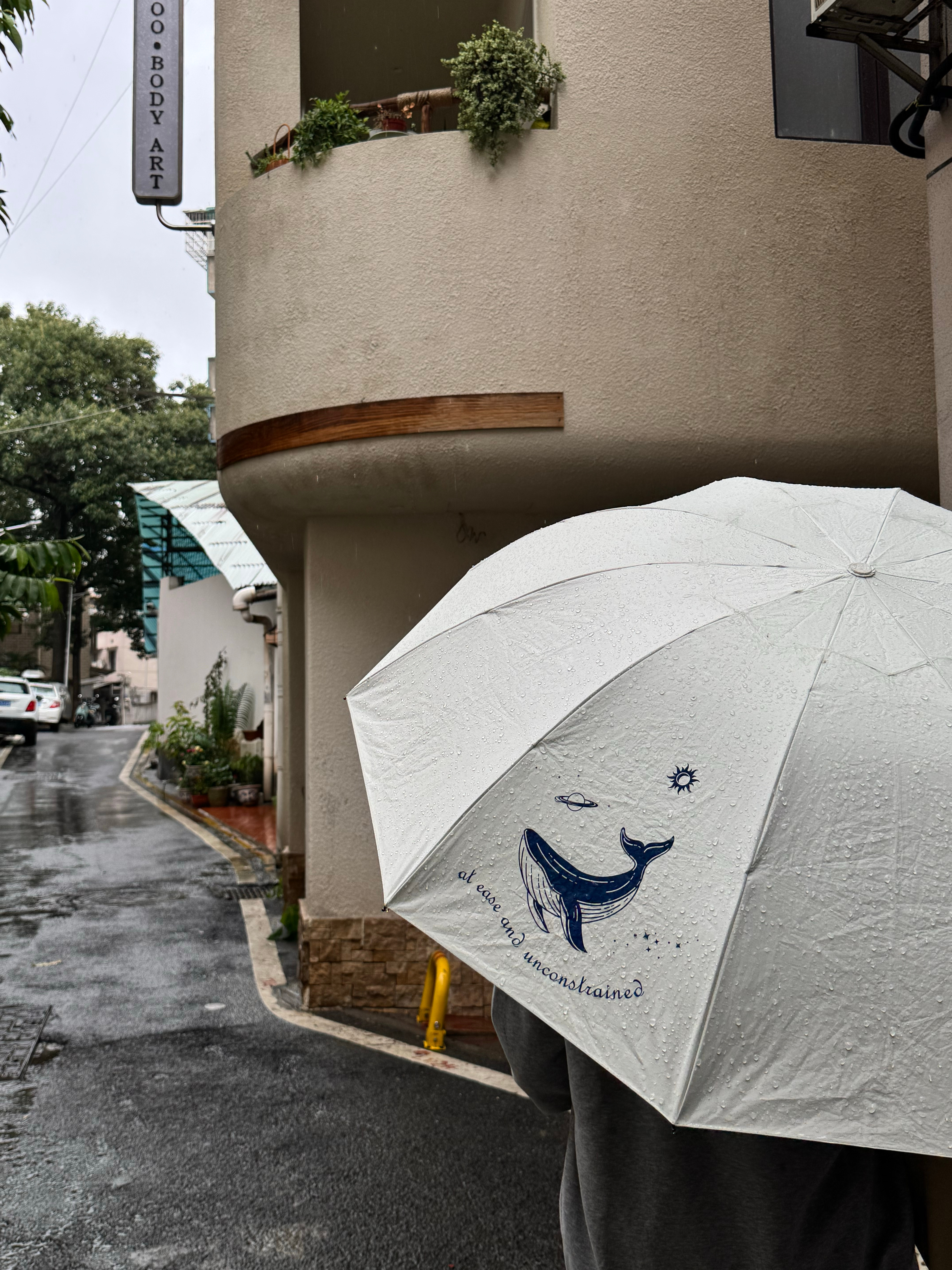 雨还是不停地落下 ​​​