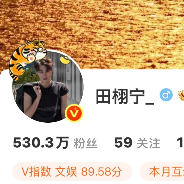 右上角这个老虎换成啃啃小雷毫无违和感 