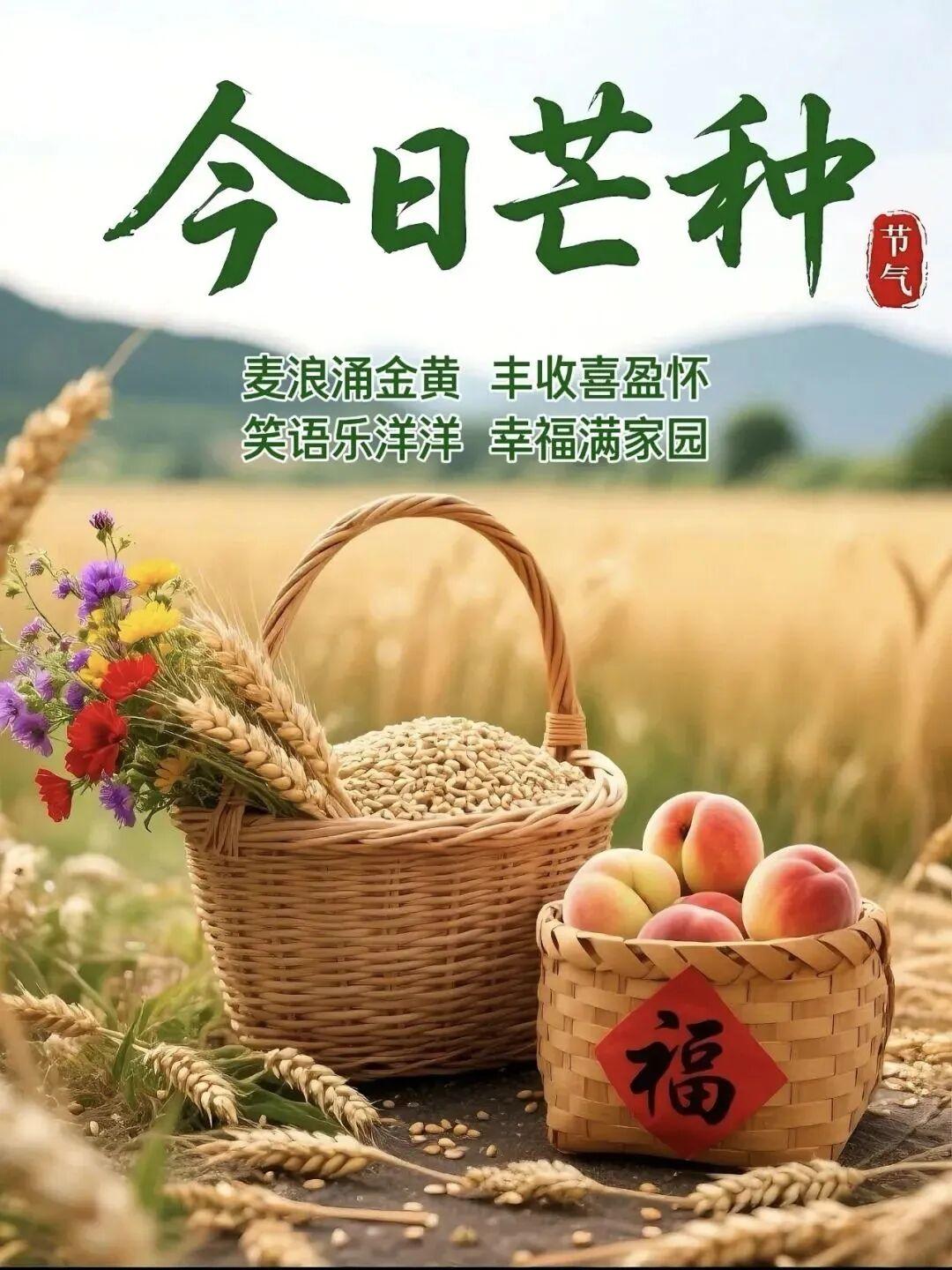 今日芒种，24节气之一，奋斗与希望同在，珍惜当下，努力拼搏，在人生关键时刻全力以