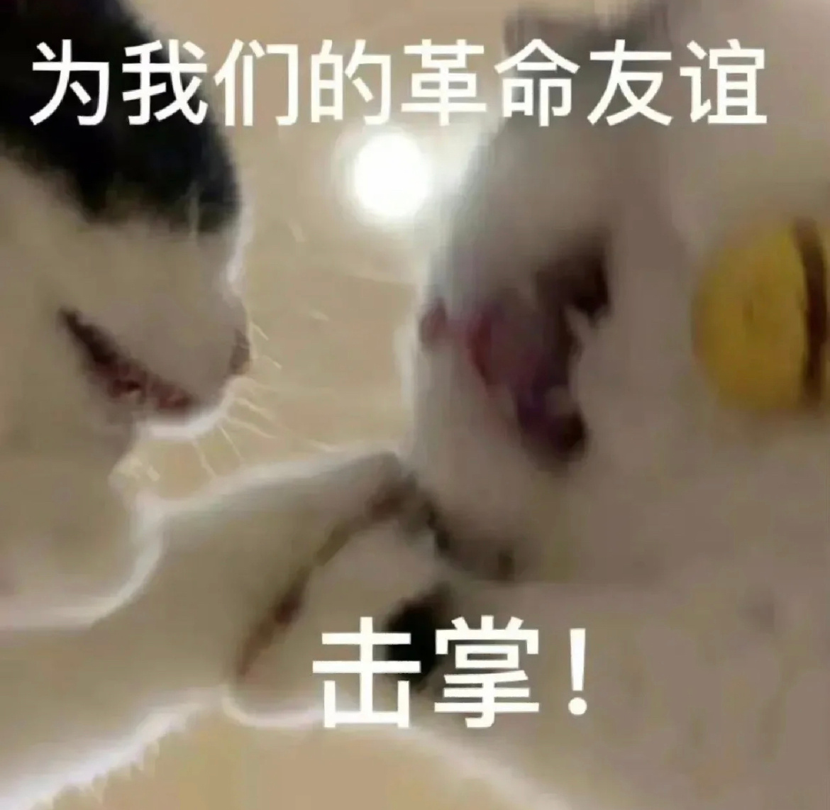 我也是这么想的 