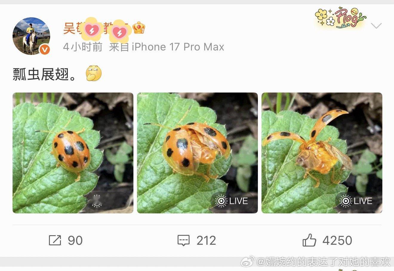 内涵谁呢[污][污][污] ​​​