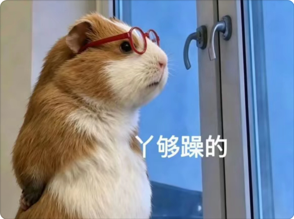 好命苦啊，一想到查到之后周围大概率还会有一堆小孩在那喊兄弟，这波有了，我就绷不住