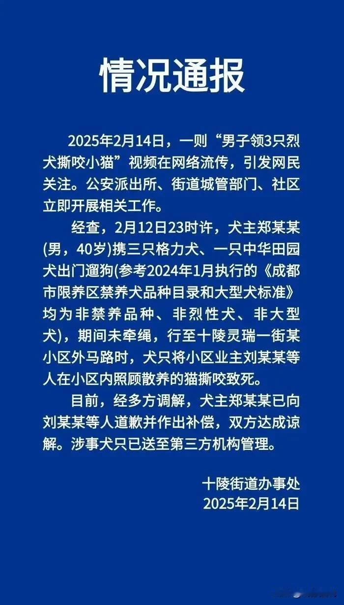 是狗的问题，还是人的？成都官方就网传“男子领3只烈犬撕咬小猫并抛S”做出通报！